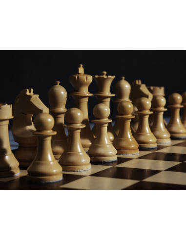 PIEZAS CAMPEONATO MUNDIAL