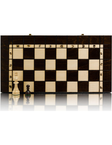 AJEDREZ + BACKGAMMON